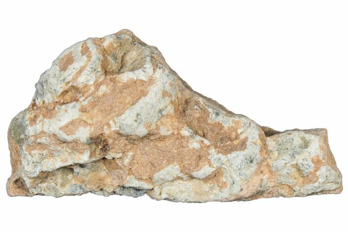 Lunar Meteorite Fragment ( g) - NWA #304072